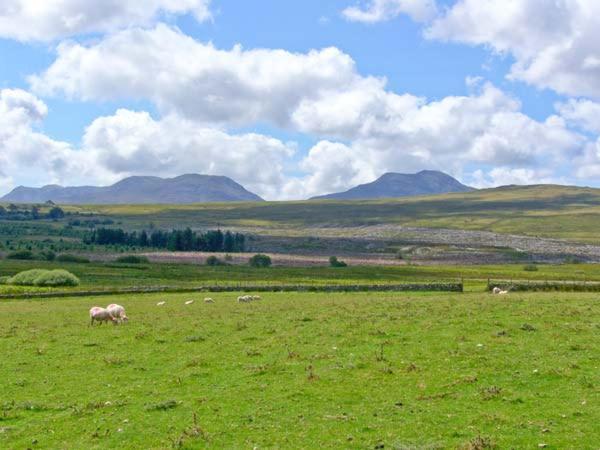 Vila Bryn Re Trawsfynydd Exteriér fotografie